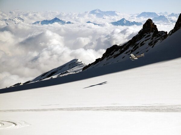 Black friday eller cyber monday – hvad er egentlig bedst?